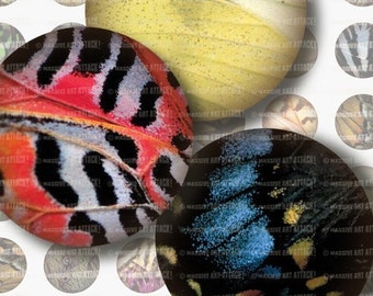 Butterfly Wing Details. Digital Collage Sheet 102 . 1 inch circles