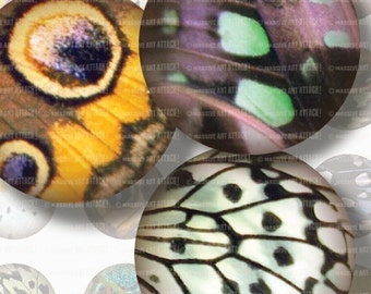 Butterfly Wings . Digital Collage Sheet 101 . 1 inch circles . Inchies