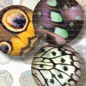 Butterfly Wings, Closeup . Digital Collage Sheet 201 . 12 mm circles