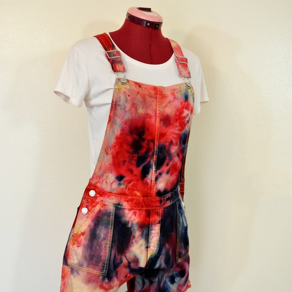BB Blooms OG Girl Overall, Blue main image 1