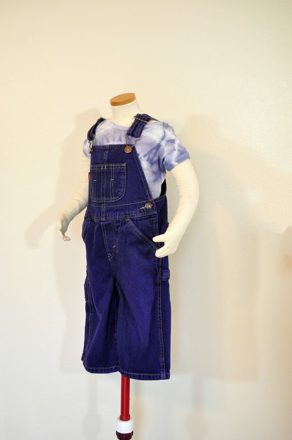 Violet Kid 18 Mo. Bib OVERALL Pants - Purple Dyed 