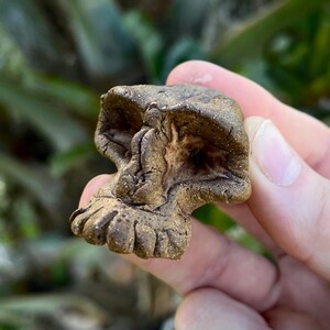 Handmade Stoneware Skull Sculpture for Pendant Totem Charm Decoration Bead