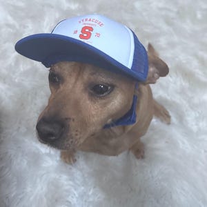 Cappellino da camionista personalizzato con logo del college, regalo per ex-alunni della squadra del campus, cinturino sottogola per fissare il cappellino. Richiedi il logo o la mascotte della tua scuola.