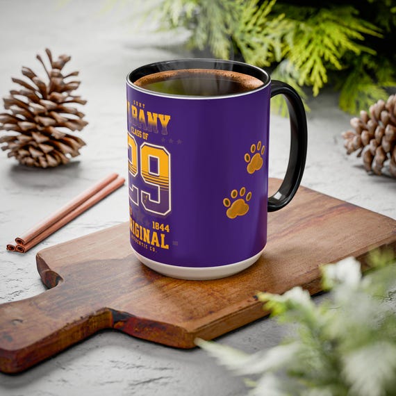 College Pride U Albany Tea Cup, Graduation Class of 2029 Coffee Mug,  Colorful Grad Coffee Cup, Gift for Fresman SUNY Albany Students - Etsy