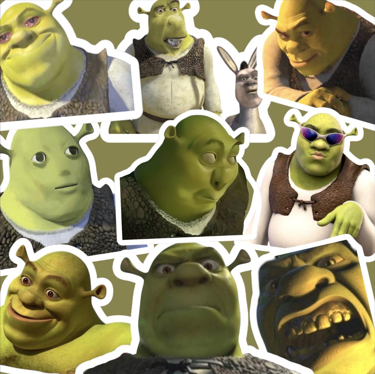 Shrek Meme Sticker Pack, Meme Stickers, Funny Stickers, Funny Memes, 1-20 pcs, Comedic Sticker Decal, Laptop Decal, NO DUPES