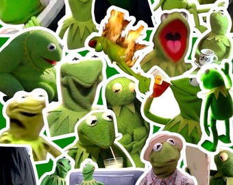 Kermit Sticker Pack, Meme Stickers, Funny Stickers, Funny Memes, 1-10 pcs, Comedic Sticker Decal, Laptop Decal, NO DUPES