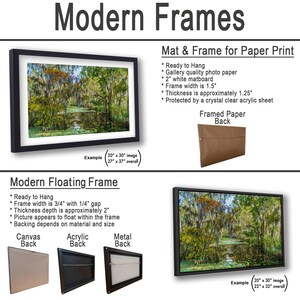 The image is a collage of various framed artworks, including a mat and frame for a paper print, a modern floating frame, and a framed paper back. The artworks are displayed in different sizes and frame types, showcasing the versatility of framed artworks.