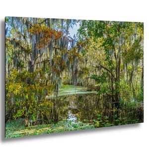 A lush, verdant forest with a tranquil pond in the center, surrounded by a variety of trees and foliage.
