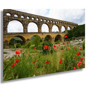 Poppies of the Pont Du Gard