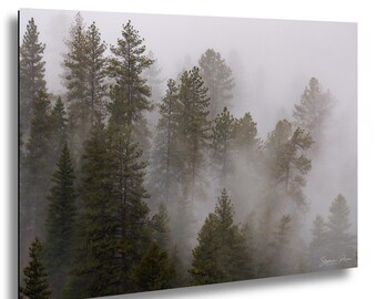 Print mistig dennenbos – Muurkunst humeurig berglandschap