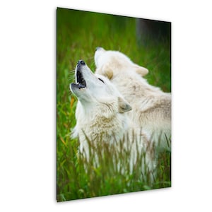 Howling Wolf Pack Photo Print: Wildlife Canvas Wall Art
