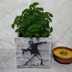 street art flowerpot