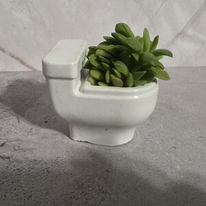 May include: A white ceramic planter shaped like a miniature toilet bowl containing a small, vibrant green succulent plant with thick, pointed leaves. The planter features a raised tank section and a rounded basin, providing a compact home for the plant.