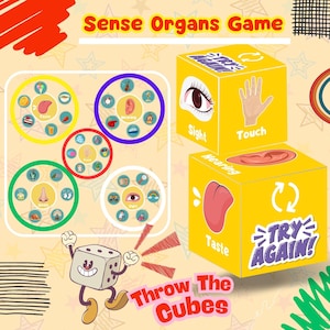 Sensory Organs Game,Five Senses Activity, Preschool,Kindergarten,Busy Bags, Montessori Materials,Human Body Worksheets,Preschool Activities