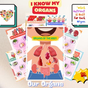 Peut inclure: Un tableau éducatif coloré pour les enfants sur les organes du corps. Le tableau présente un personnage de dessin animé avec différents organes étiquetés, ainsi qu'une liste d'aliments bons pour chaque organe. Le texte sur le tableau dit "Je connais mes organes" et "Organes du corps".