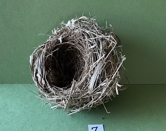 Bird Nest #7