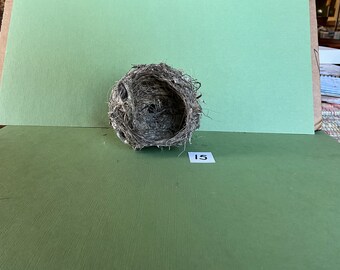 Bird Nest #15