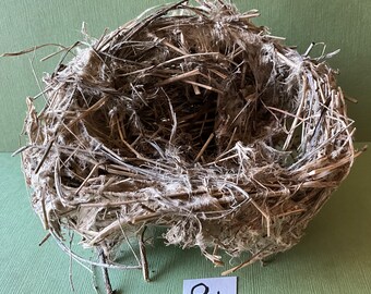 Bird Nest #9b