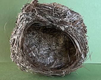 Bird Nest #19