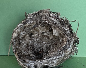 Bird Nest #16