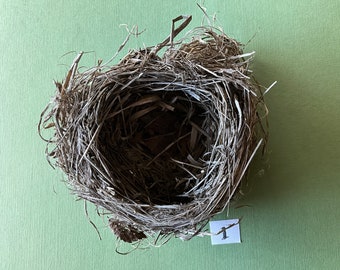 Bird Nest #1