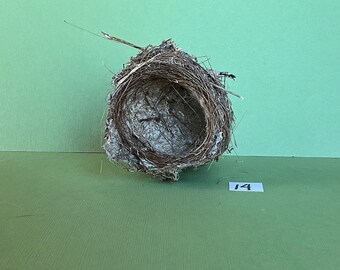 Beautiful Tiny Bird Nest #14