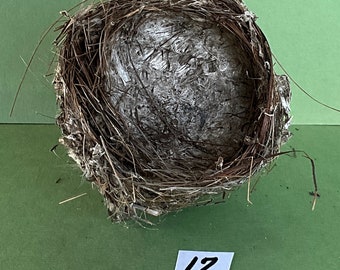 Bird Nest #17