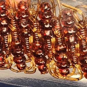 May include: A collection of amber-colored, translucent, segmented insect-shaped fishing lures. Each lure features a rounded head, a long body with multiple segments, and thin, curved appendages extending from the sides, all with a glossy finish.