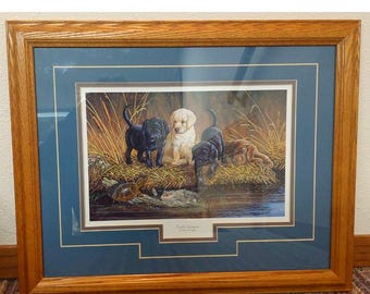 Terry Doughty Turtle Hunters – Oprawiony szczeniak labradora z dębu amerykańskiego, wydruk ścienny 21x17