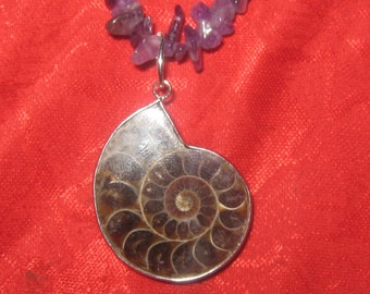 Beautiful Amethyst AMMONITE FOSSIL NECKLACE