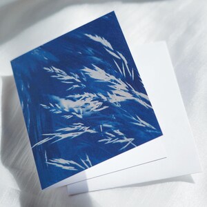 Art botanique, carte canotype, cartes de voeux, cartes de vœux, carte de remerciement, carte de Noël, carte de voeux herbe végétale, encadrement, bleu, blanc