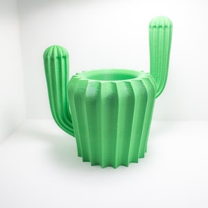 Indoor cactus Pot, 3D Printed Planter, 2 inch Planter with Drainage, Perfect Gift for plant people
