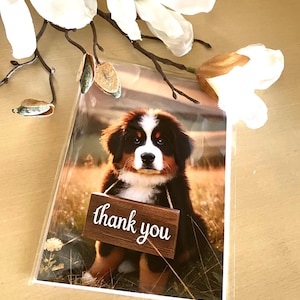 Niedliche Berner Sennenhund Grusskarte mit Umschlag (12 x 18 cm).