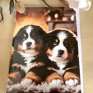 Entzückende FREUNDSCHAFT Grußkarte mit Umschlag (12x18) mit zwei süßen Berner Sennenhunden.