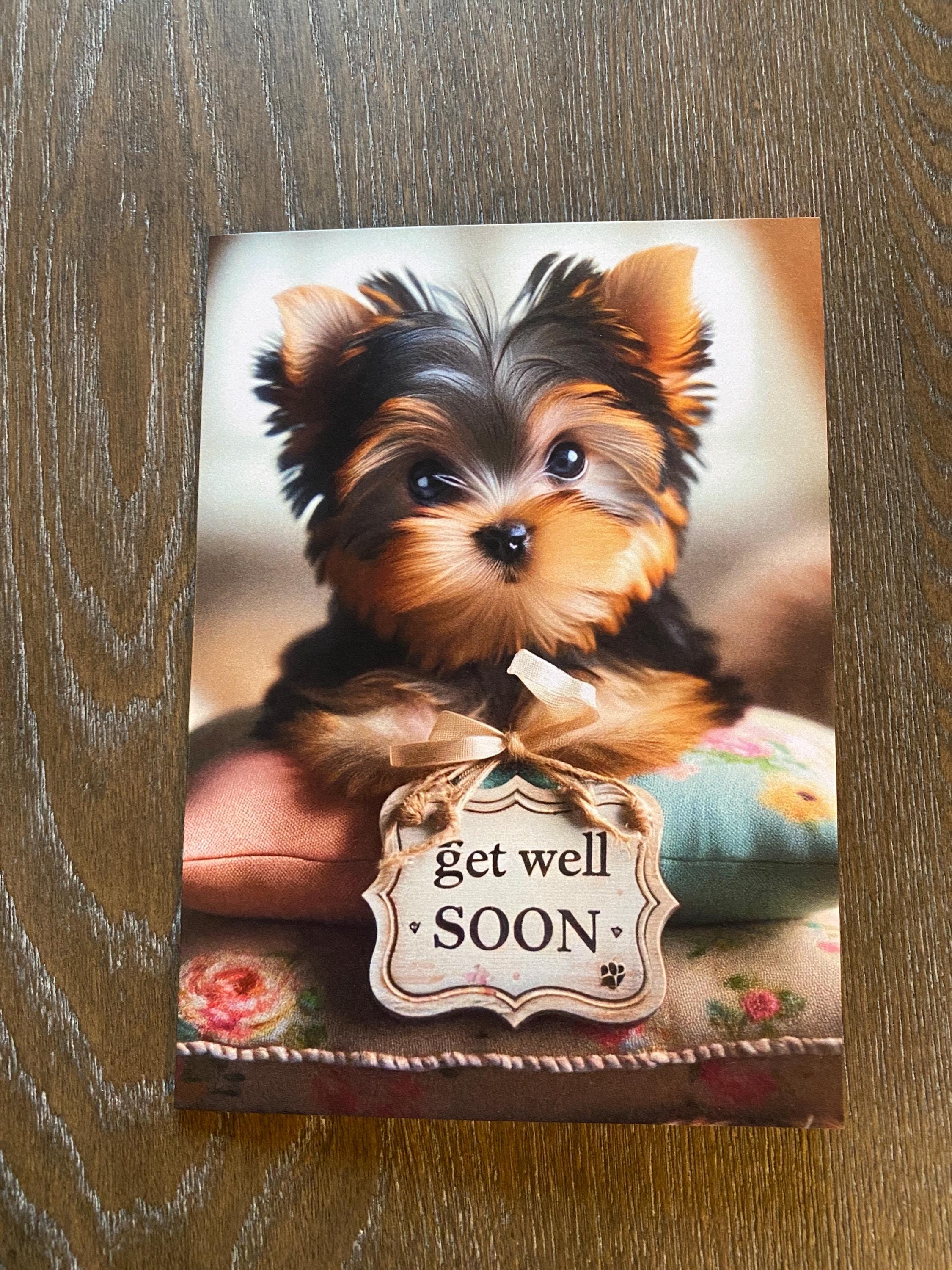 Adorable Get Well Greeting Card Set With Envelopes (5x7 Set of