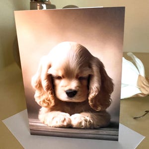 Adorabile biglietto di auguri con busta (5x7) raffigurante un dolce cucciolo di Cocker Spaniel in posizione di preghiera.