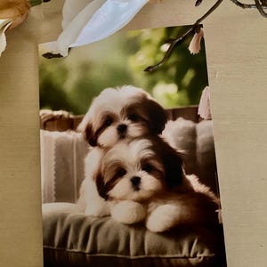 Adorable carte de voeux de l'amitié avec enveloppe (5 x 7) représentant deux adorables amis shih tzu avec un message d'amitié et de gratitude.