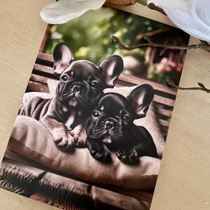 Adorable tarjeta de felicitación de amistad con sobre (5x7) con dos dulces cachorros de Frenchie con un mensaje de amistad y agradecimiento.
