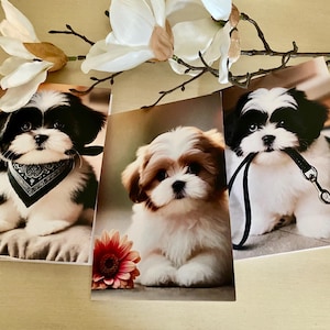 Adorable carte de voeux vierge Shih Tzu avec enveloppes (lot de 5 x 7) représentant 3 poses de adorables chiots shih tzu.