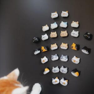 Può includere: Una collezione di ventisei piccoli magneti a forma di gatto disposti a rombo su una superficie scura. I magneti presentano vari motivi del manto felino, tra cui nero, bianco, arancione, grigio e calico, ognuno con semplici tratti del viso.
