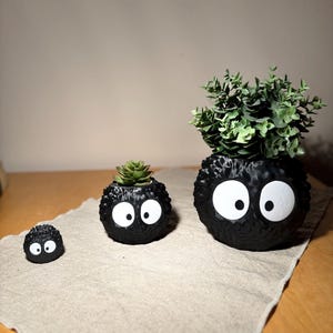 Könnte beinhalten: Drei schwarze, kugelförmige Pflanzgefäße mit weißen Augen. Der größte Topf enthält eine grüne Pflanze, der mittlere eine Sukkulente. Der kleinste Topf ist leer. Sie sind auf einem beigen Stoffläufer angeordnet.