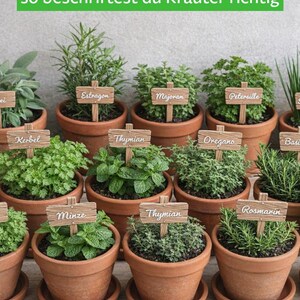 ハーブ植物用支柱14本セット – 木製風ハーブラベル（鉢植え用） – ローズマリー、タイム、バジル、ミント、オレガノなどのガーデンマーカー