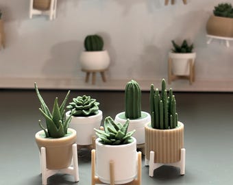 Tiny Botanical Beauties - Miniature Fridge Magnet Plants (Random Set of 5)