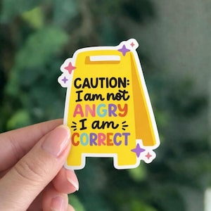 Funny Feminist Vinyl Sticker – I Am Not Angry, I Am Correct