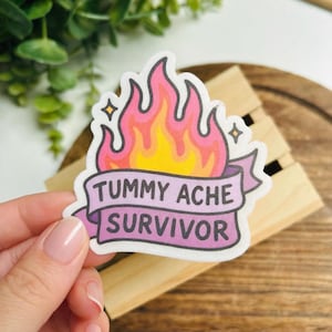 Tummy Ache Survivor Sticker – Funny IBS Pastel Flame Vinyl Decal