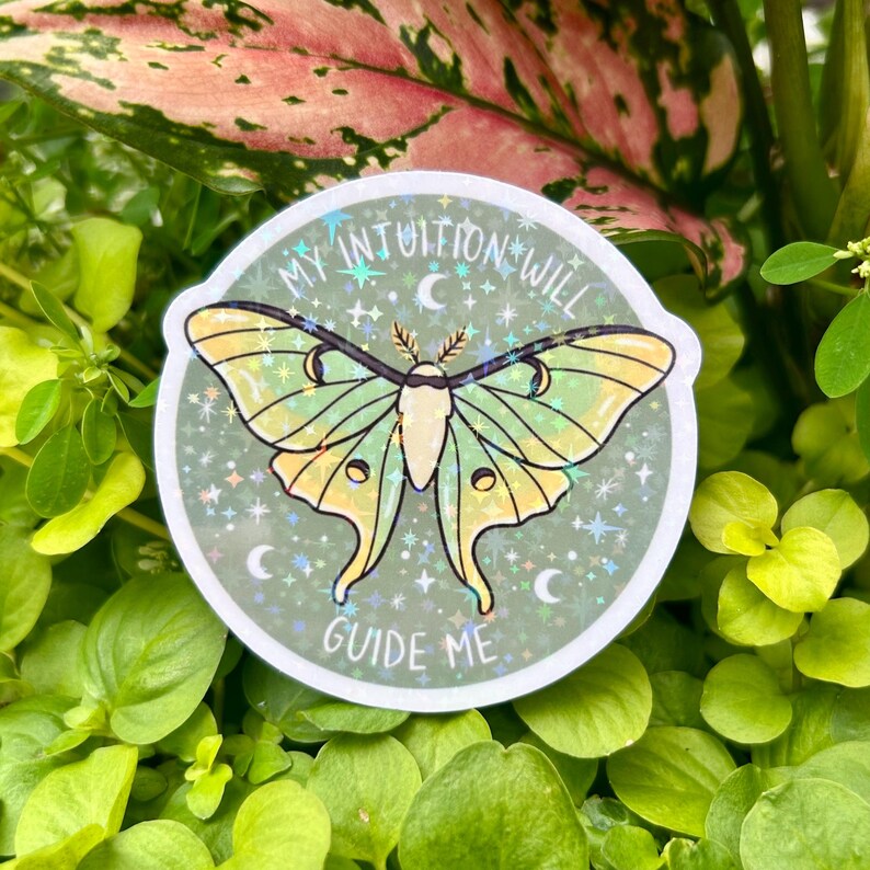Round holographic luna moth die-cut sticker displayed among lush green leaves in natural sunlight. Features an illustrated luna moth with crescent moons, celestial sparkles, and the phrase “May intuition will guide me” on a muted sage green background. Cottagecore, witchy, spiritual, and nature-inspired vinyl sticker for laptop, water bottle, journal, planner, Kindle, and botanical decor.