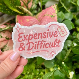 Expensive & Difficult Sticker – Pink Y2K Vinyl Sticker for Laptop, Water Bottle, Journaling, or Chaos