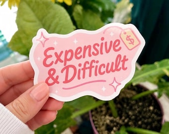 Expensive & Difficult Sticker – Pink Y2K Vinyl Sticker for Laptop, Water Bottle, Journaling, or Chaos