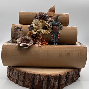 May include: A stack of three tan books resting on a circular wood slice. The books are decorated with artificial flowers in shades of brown and cream, a small brown owl figurine, and a miniature witch figure wearing a black hat and dress.