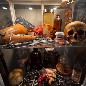 May include: A glass display cabinet filled with preserved anatomical specimens, including a human skull, a fetal skeleton, a preserved human hand, and various jars containing preserved organs. The cabinet also contains medical tools, such as forceps and scalpels.